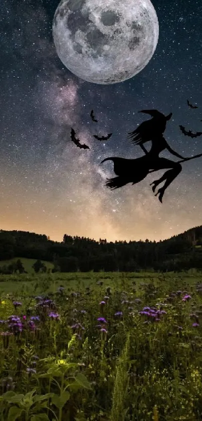 Silhouette of a witch flying under the moonlit starry sky over a field.