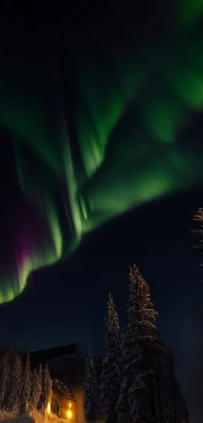 Vibrant Northern Lights over a snowy forest night scene.