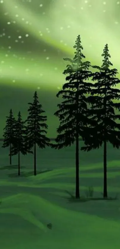 Aurora borealis with pine trees in green night sky.