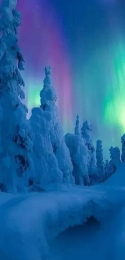 Snowy forest with vibrant Northern Lights in the night sky.