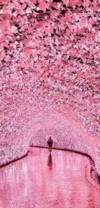 Tunnel of pink blossoms creating an enchanting scene.