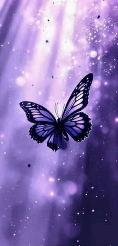 Purple butterfly in cosmic light wallpaper.