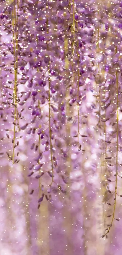 Enchanting purple wisteria wallpaper with sparkling light effects.