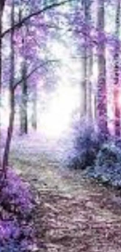 Purple forest path wallpaper with enchanting and serene nature display.