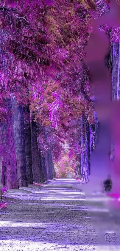 Enchanting purple forest path with vibrant tree hues.