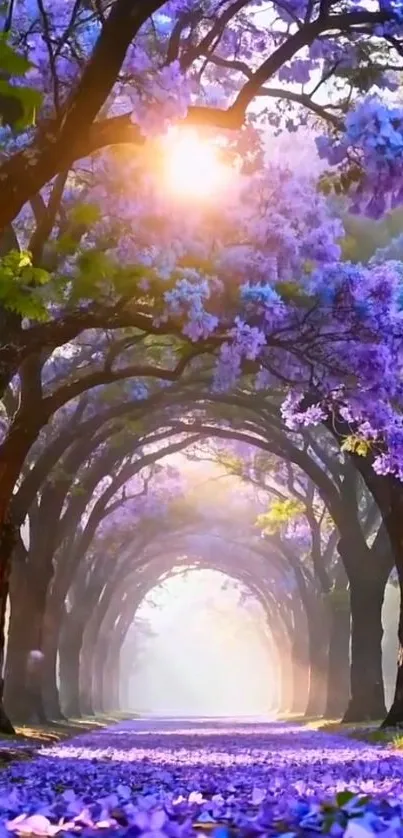 Pathway through a purple flower forest with sunlight filtering through trees.