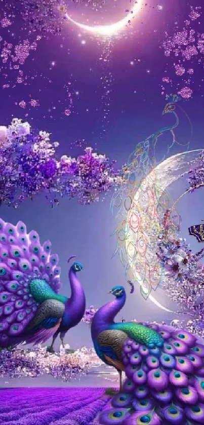 Mystical purple peacock scene with flowers and a crescent moon.