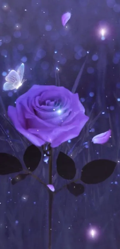 Enchanting purple rose with butterfly glowing in the night.