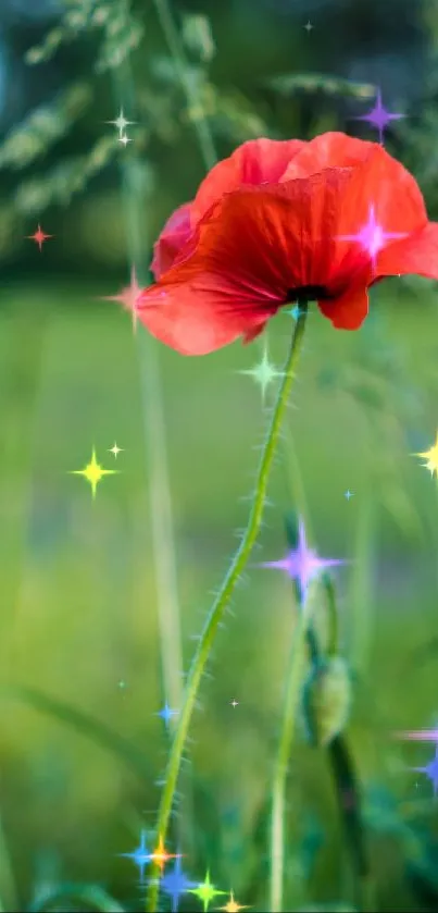 Red flower with green background and sparkles mobile wallpaper.