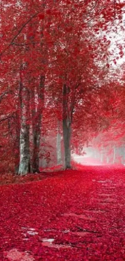 Beautiful red forest path with lush foliage and vibrant leaves.