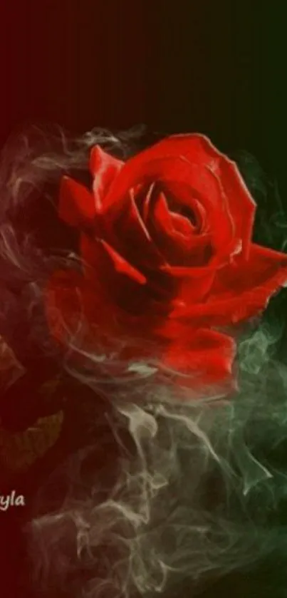 Mobile wallpaper with red rose and smoke on dark background.