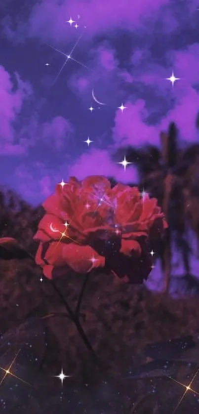 Purple sky with stars and a vibrant red rose in the foreground.