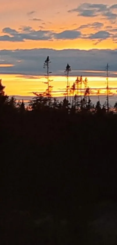 Silhouette of trees at sunset with vibrant orange sky.