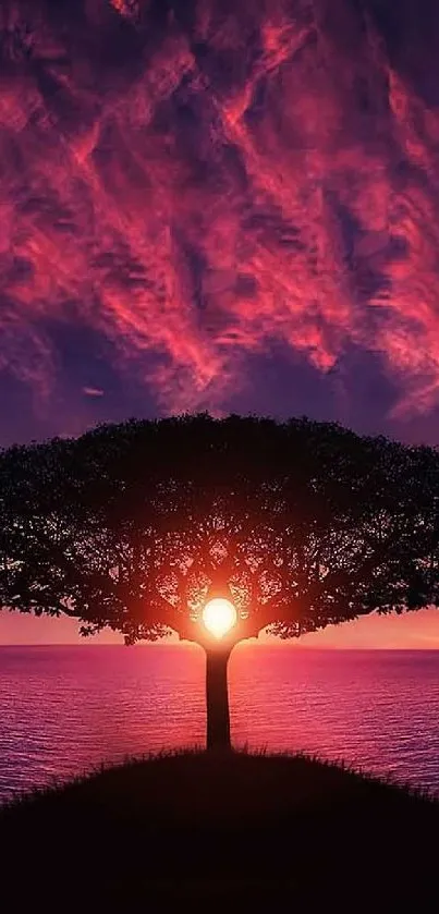 Silhouetted tree against a vibrant sunset over the ocean, creating a serene wallpaper.