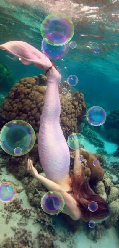 A mermaid swims gracefully by coral reefs in clear turquoise water.