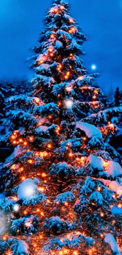 Snowy Christmas tree with lights in a winter night scene.