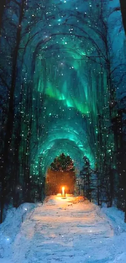 Enchanting winter forest with aurora lights glowing above a snowy path.