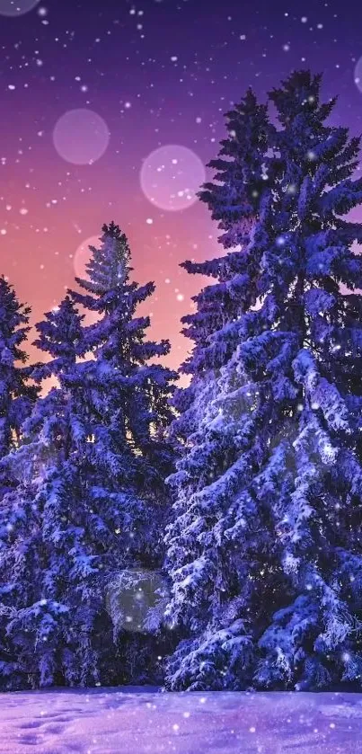 Snow-covered trees against a purple and orange twilight sky.