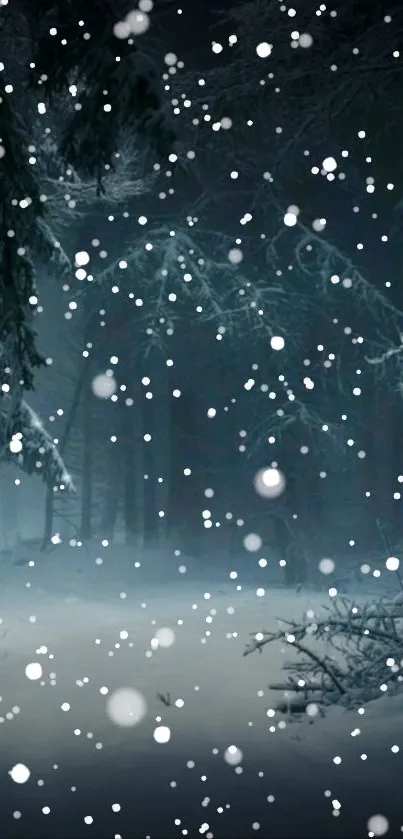 Snow falling in a dark winter forest.