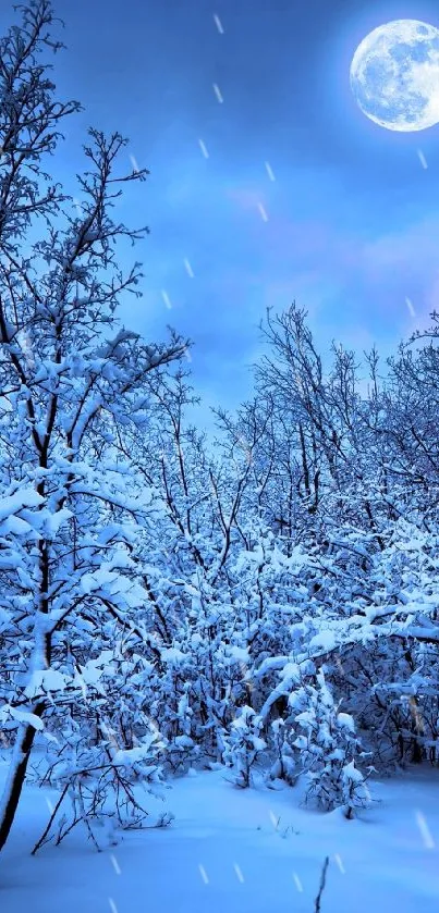 Full moon over snowy winter landscape with serene night sky.