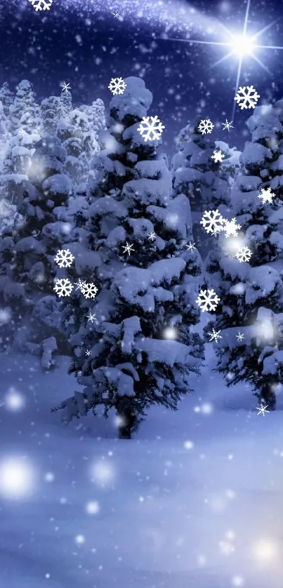 Snow-covered forest under a starry winter night.