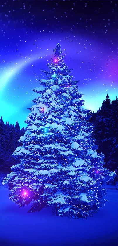 Snowy pine tree under a starry winter sky with aurora lights.