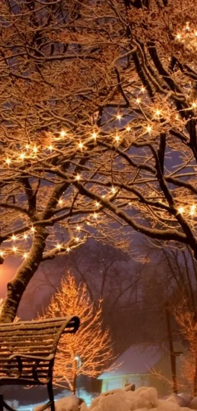 Winter park with lights on snowy trees and a bench at night.