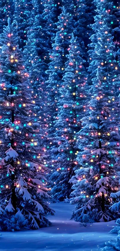 Snow-covered trees with festive lights in a winter wonderland.