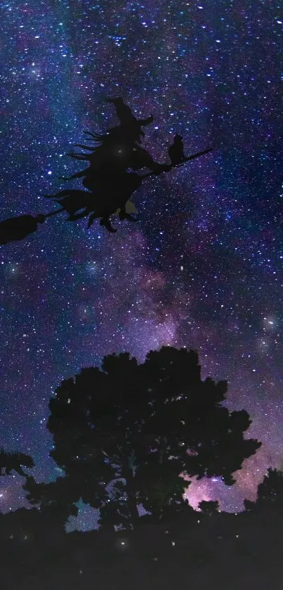 Witch flying at night with starry sky and dark trees.