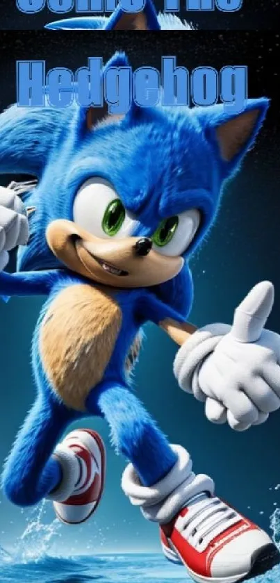 Energetic blue hedgehog running in a vibrant cartoon design.