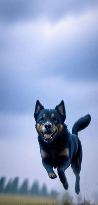 Black dog running energetically under a blue sky in a dynamic mobile wallpaper.