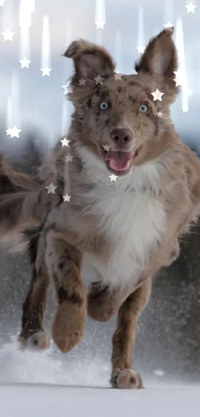 Energetic dog running through snowy landscape.