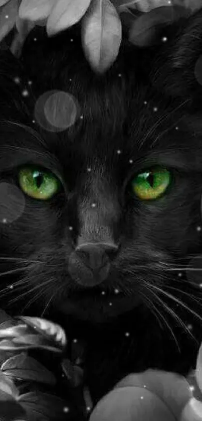 Black cat with green eyes in floral background.