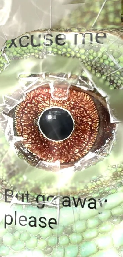 Close-up of a gecko eye with vibrant textures and colors.