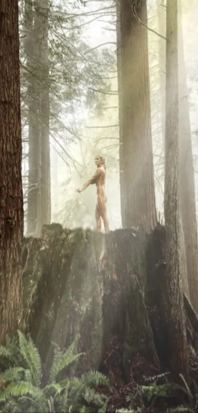 Mystical figure stands in a sunlit forest with towering trees and lush ferns.