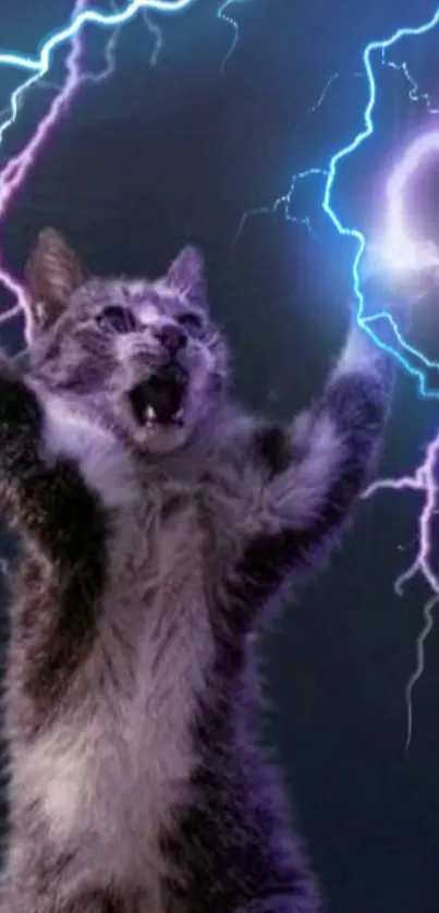 Cat raising paws amid vivid lightning on dark night background.