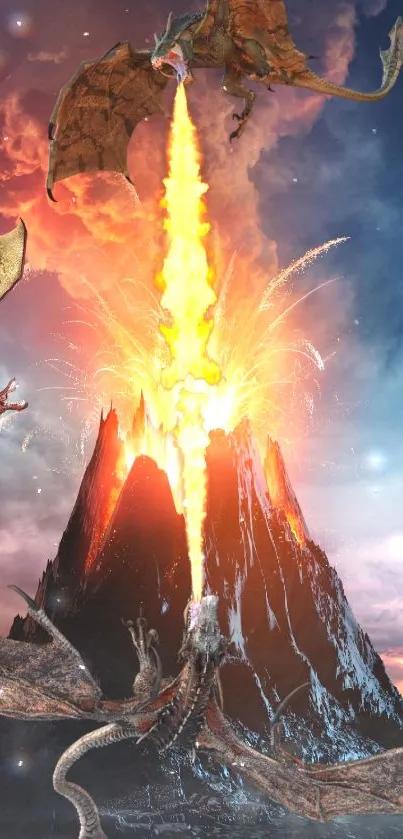 Dragons battling over a fiery volcano, showcasing epic fantasy action.