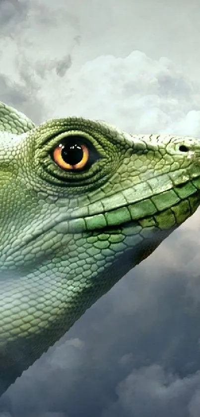 Giant dragon face with human against clouds in fantasy scene.