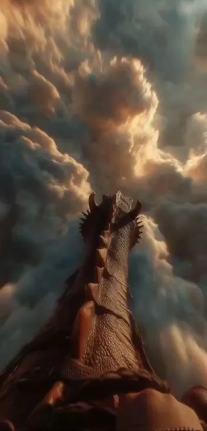 A dragon's view of soaring through dramatic clouds.