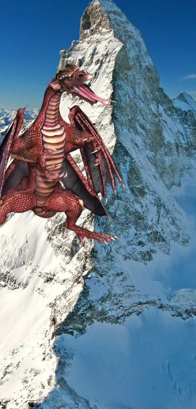 Dragon perched on a snowy mountain peak under a clear blue sky.