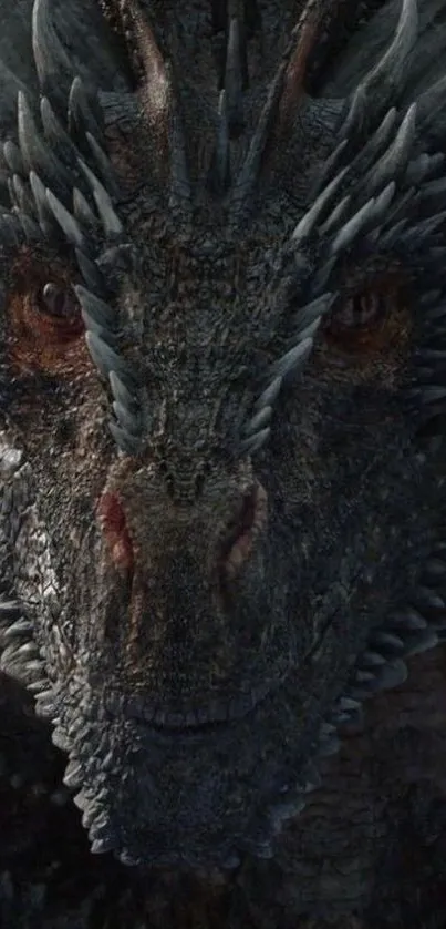 Epic dragon phone wallpaper with intricate scales and fierce eyes.