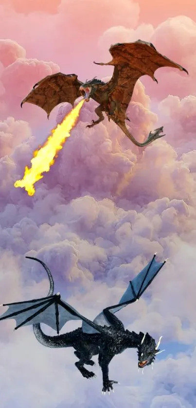 Two dragons battling above the pink cloudy sky.