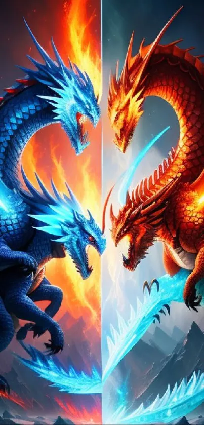 Two dragons in fiery duel creating epic contrast on mobile wallpaper.