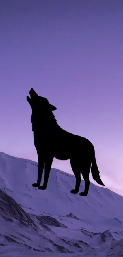 Silhouetted wolf with purple mountain sunset.