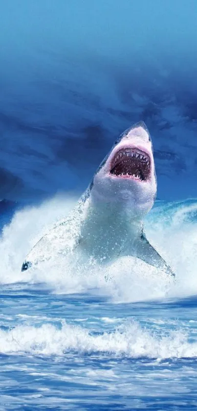 Shark leaping through ocean waves, creating a dramatic marine scene.