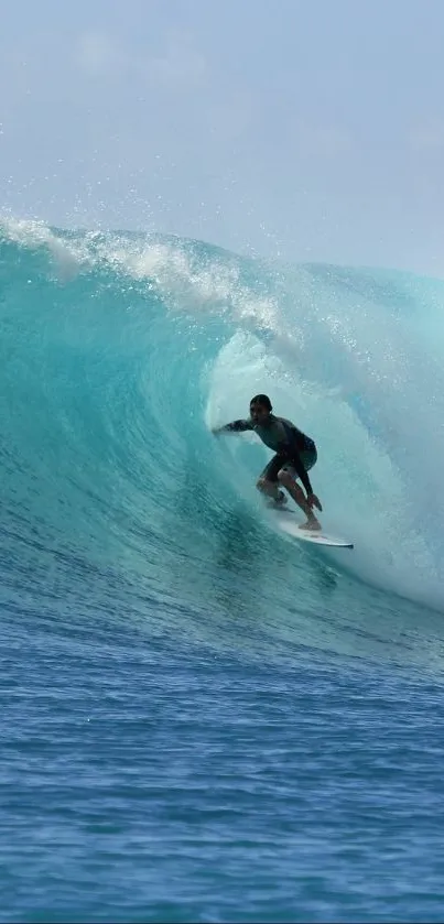 Surfer rides a powerful turquoise wave with clear skies.