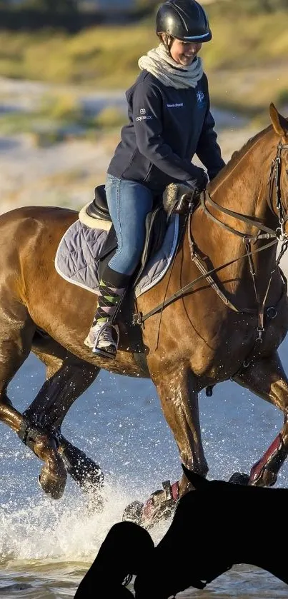 Rider and horse galloping along the beach, splashing water.