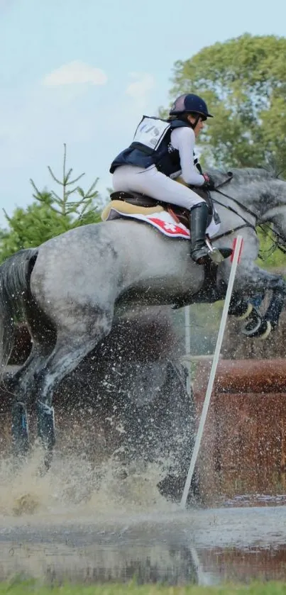 Horse and rider jumping over water in a dynamic equestrian scene.