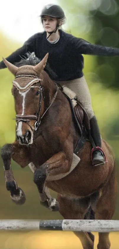 Rider on horse jumping over hurdle with bokeh background.