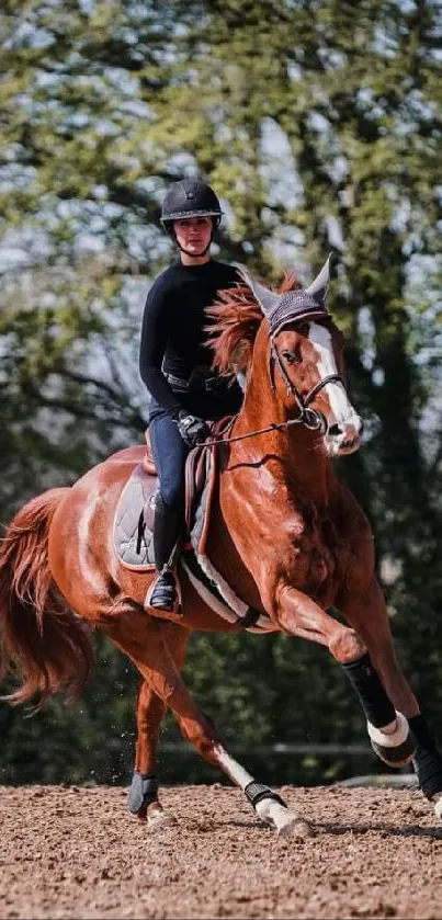 A person riding a brown horse in a lush forest setting.